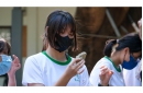 DSCF3367