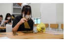 DSCF4715