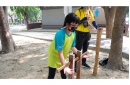 DSCF5619