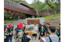 IMG20230524153222