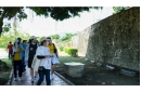 DSCF0651