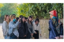 DSCF8295